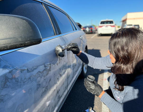 A civilian investigator with the PHX PD meticulously dusts a car window with a brush for fingerprints.